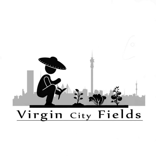 Virgin City Fields