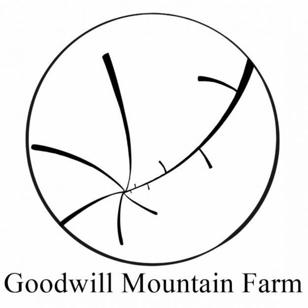 Goodwill Mountain