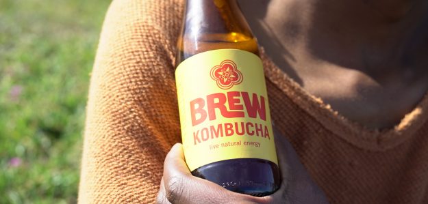 cropped brew kombucha natural organic kombucha banner