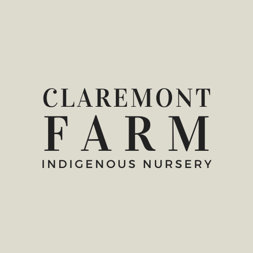 Claremont Farm Indigenous Nursery
