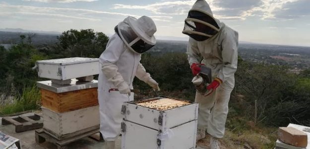 cropped Keepers Keep beekeeping banner