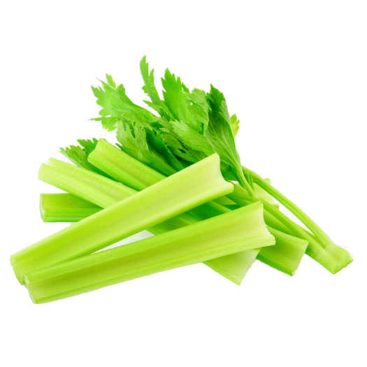 distance King Lear panel Celery Table 1kg - Good Food Network