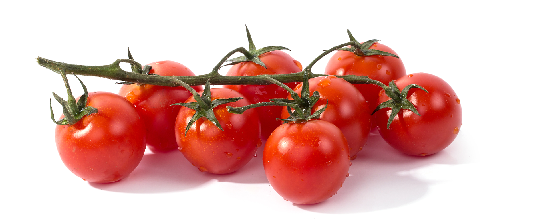 Tomatoes